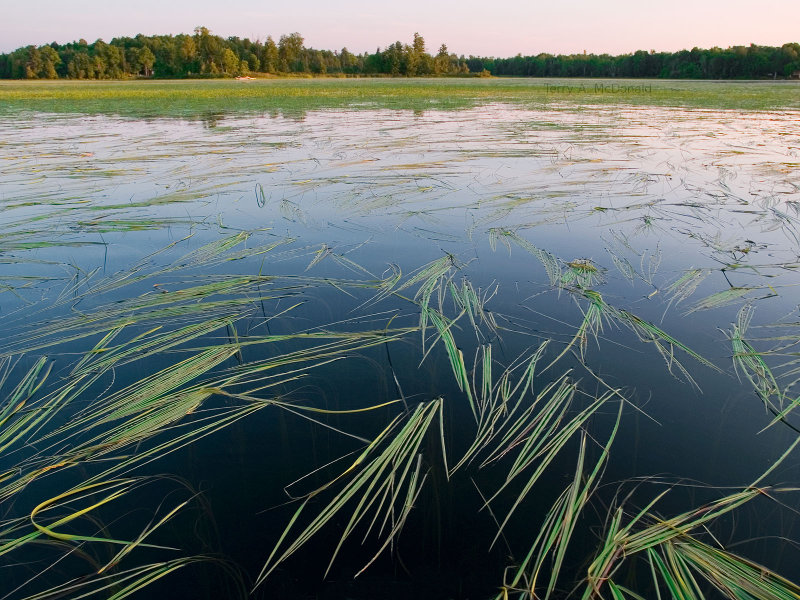 Scenic, nature photograph.  Lake in Canada.