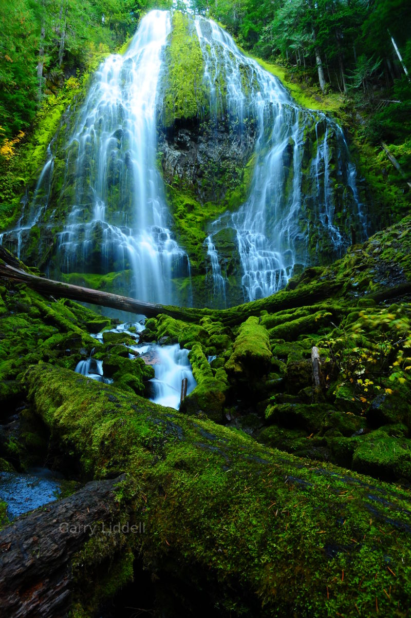 Gorgeous greens and blues in this natural outdoor photography.