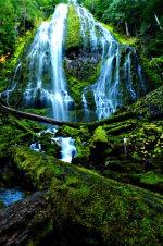 Gorgeous greens and blues in this natural outdoor photography.