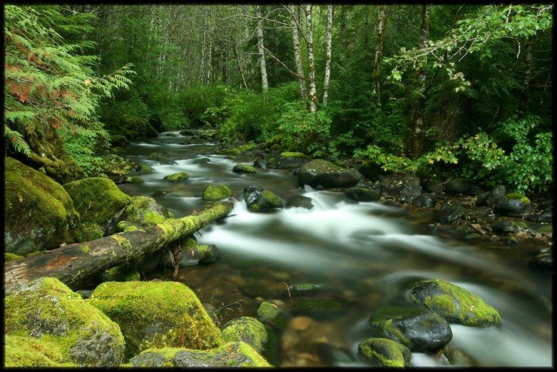 Gorgeous photograph of a mountain stream.