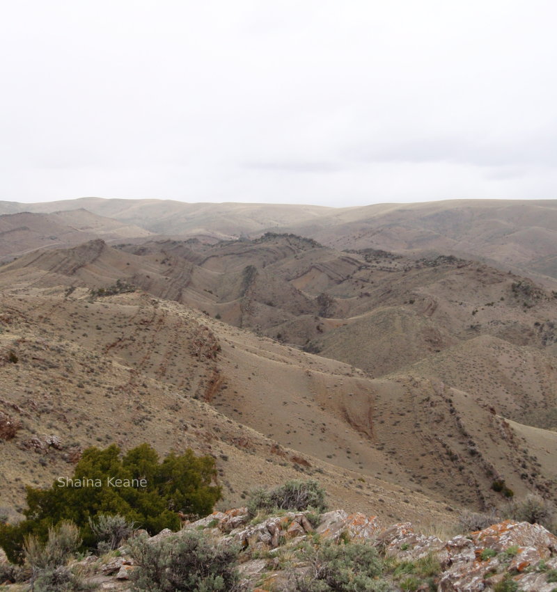 Good example of a geological anticline fold.