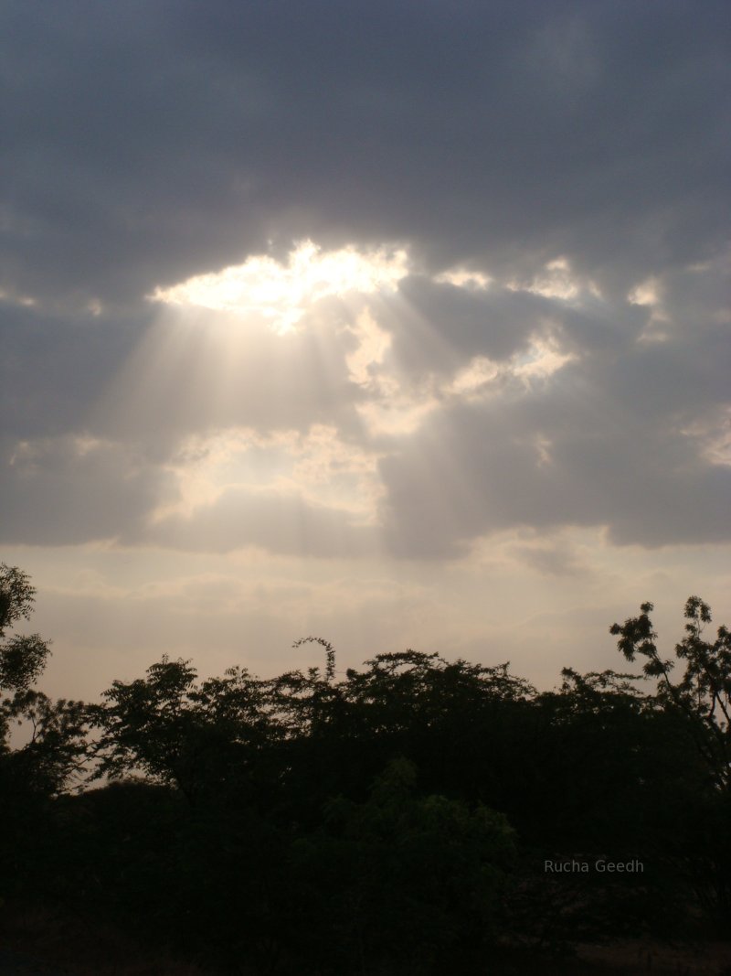 Sunlight beaming through a hole in the clouds, illuminating tropical vegetation.