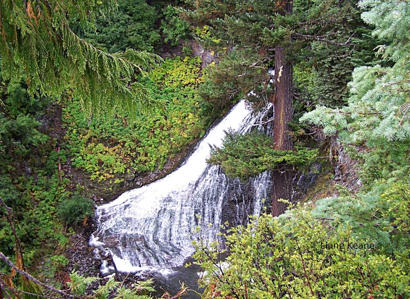 Sweeping Waterfall