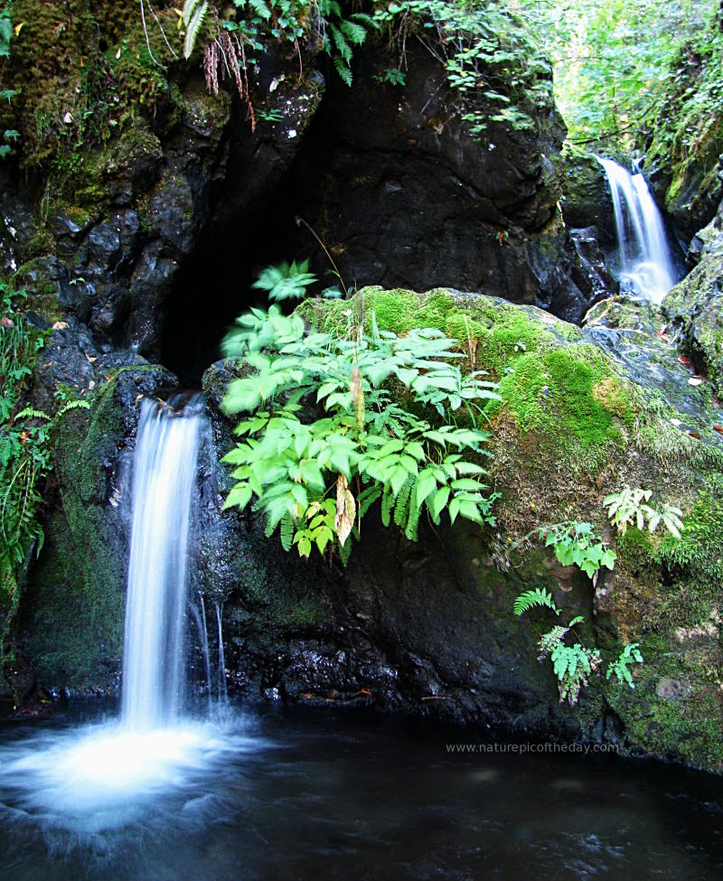 Water Steps