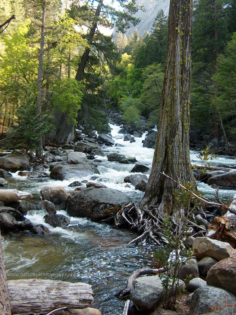 Mountain Stream