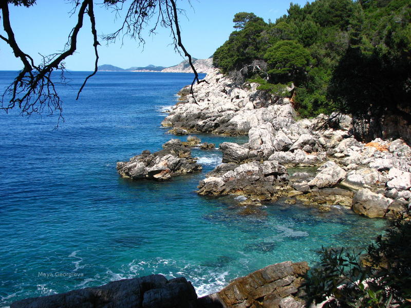 Visit Croatia!  Beach combing.