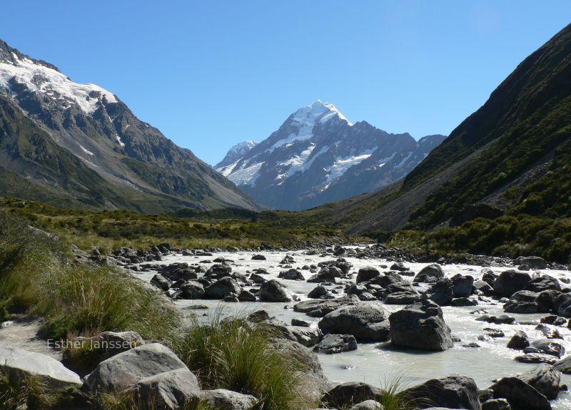 Explore New Zealand!  Lord of the Rings!  Hobbits.  