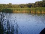 Fishing lake in Bulgaria.  Fishing lures, fishing poles, tackle.  Fishing equipment.