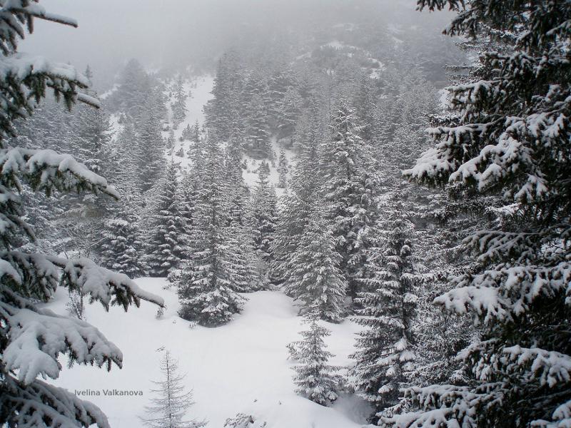 Malyovitsa peak.
snow shoes, gloves, stocking cap.