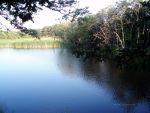 Fishing lake, sadovo, bulgaria.  Fishing tackle, fishing lures. Nature picture.