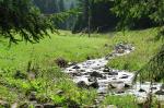 Streams, meadows, fields of gold.  Nature picture.