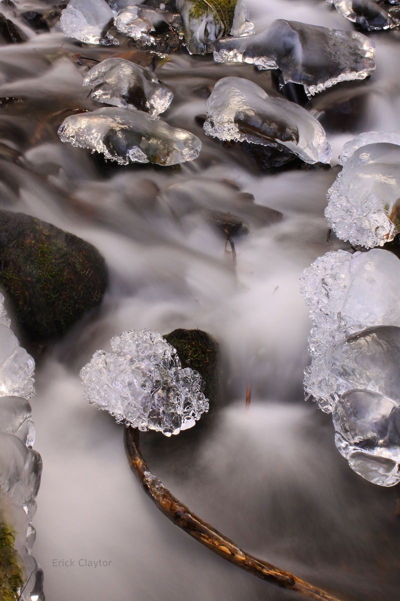 Wahkeena Creek.
Waders, fishing waders, winter boots.  Nature picture.