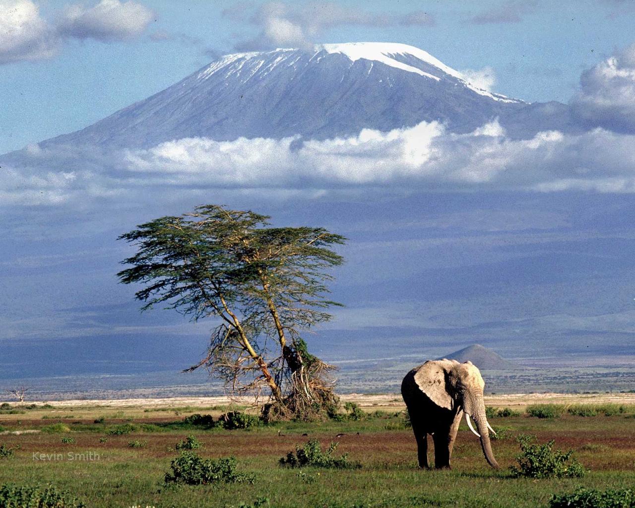 http://www.naturepicoftheday.com/npods/2009/february/plains_below_kilimanjaro_1280x1024.jpg