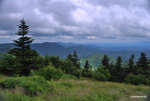 Landscape photography.  Roan Mountain in Tennessee.