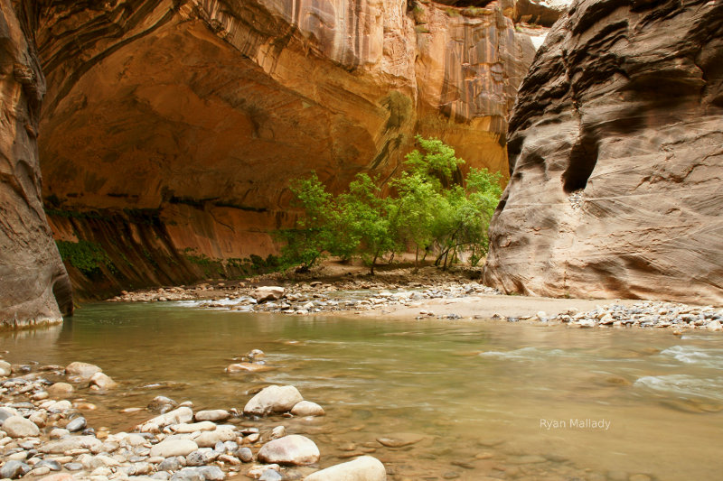 trips to Utah, river boat, fly fishing.