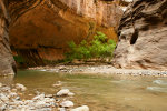 trips to Utah, river boat, fly fishing.