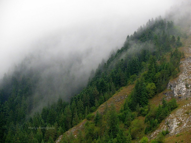 Rodopi Mountains, Bulgaria.  Tour bulgaria, greece, italy!  Nature pictures.