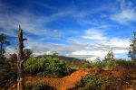 flashlights, headlamps, floodlights, camping lights.  Nature picture.