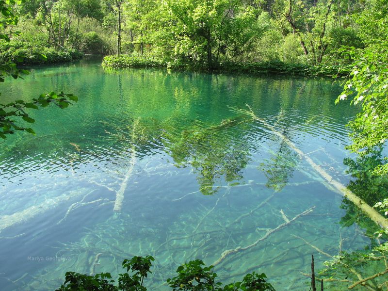 Pond in Croatia, swim, snorkel, scuba. Nature picture.