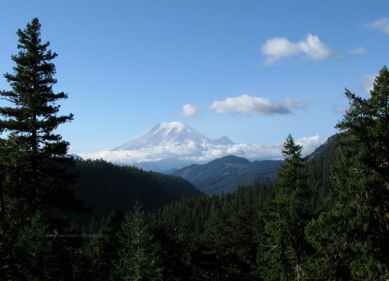 Rainier brewery, glacier water, glaciers, Nature picture.