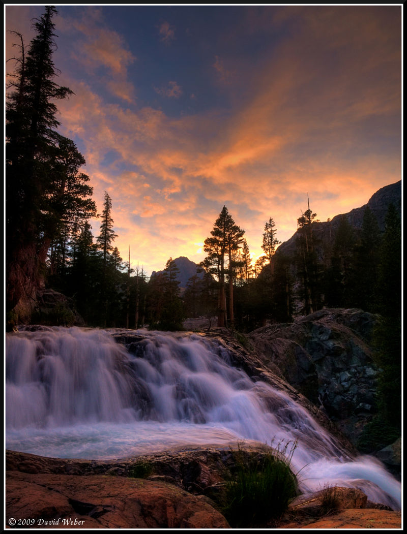 moccasins, water shoes, waders.  Picture of nature.