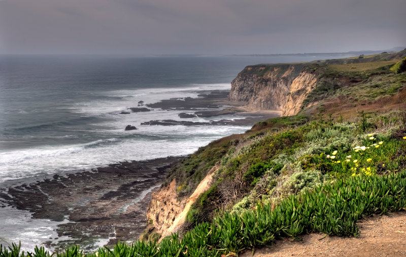 Central Californian Coast, Gray Whale Cove State Beach.