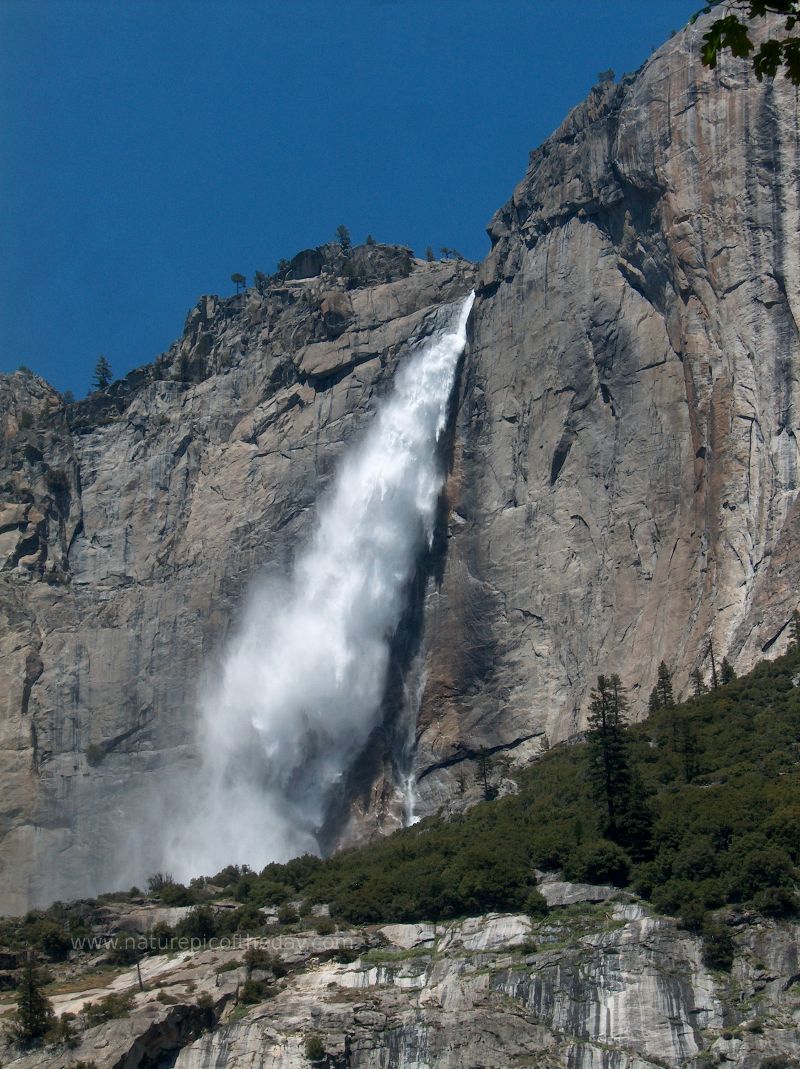 Yosemite Falls.  Yosemite National Park.