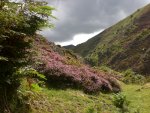 Shropshire, England.