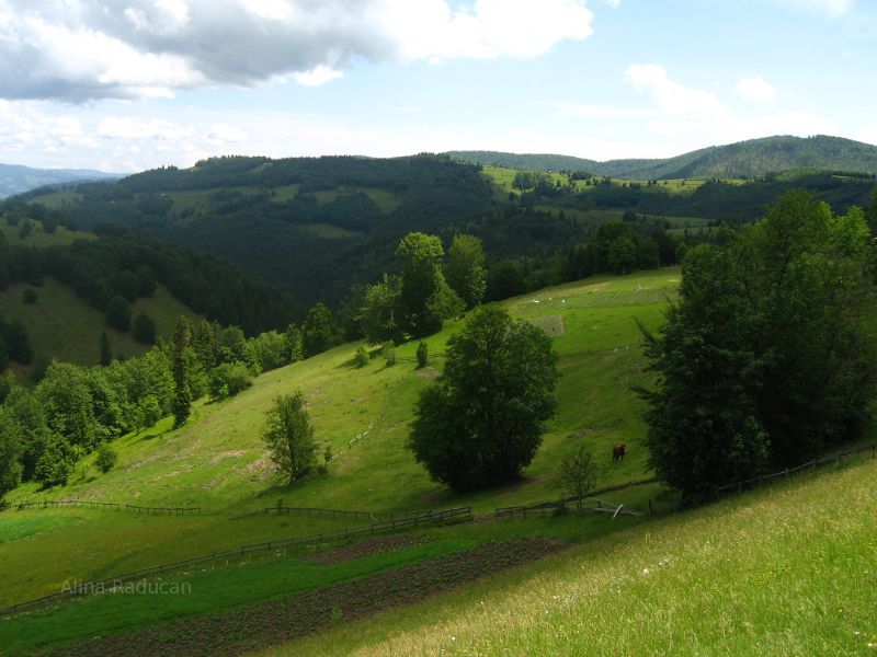 Farmland in Romania.