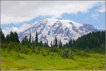 Mount Rainier National Park.