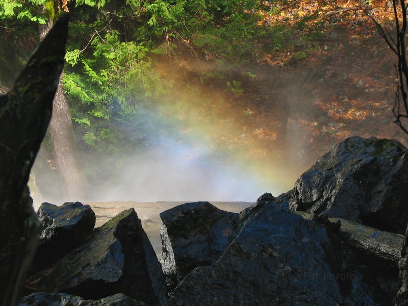 Rocky Brook Falls, Brinnon, WA.  On the Olympic Peninsula.