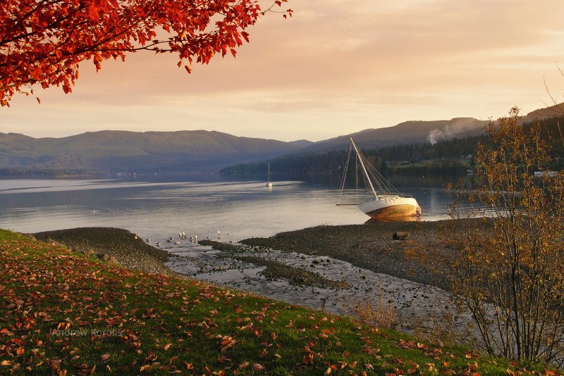 John Wayne Marina, Sequim, WA.