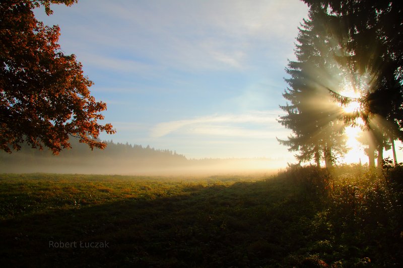 Gorgeous sunlight, Poland.