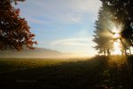 Gorgeous sunlight, Poland.