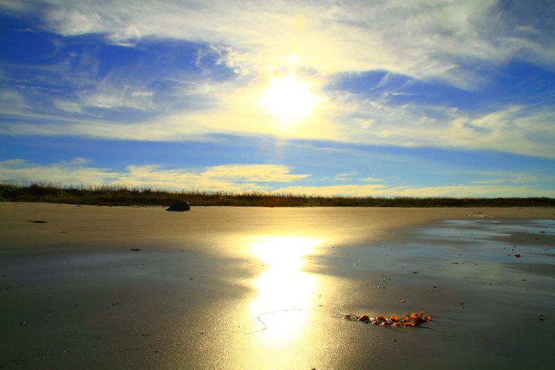 Norway, summer, beach combing.