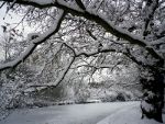 Snow covered Hertfordshire, England