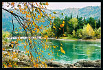 Fall leaves, pretty river.