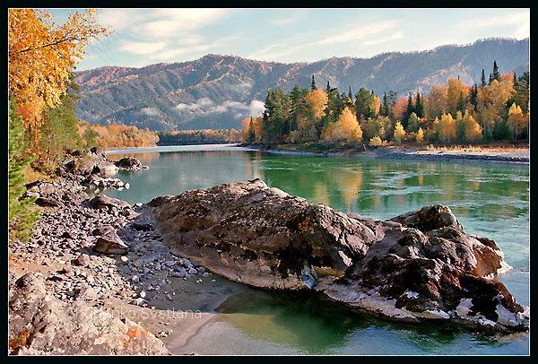 Fall colors, gold, silver, platinum.