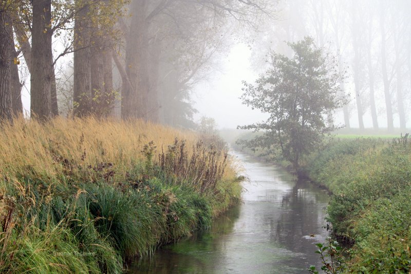 Stream, landscaping, yard landscaping.