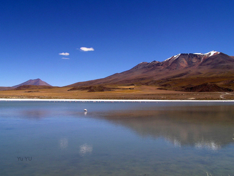 Laguna Cañapa, Bolivia.  South America.