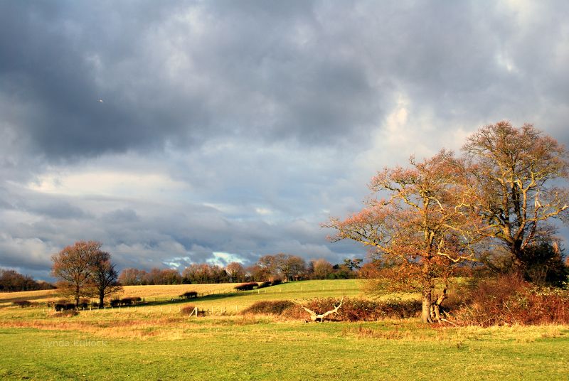 Farm in Hertfordshire, England.