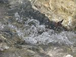 Water in Romania.  Bottled Water, sparkling water, mineral water.