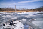 ice covered marsh in Black Creek Marsh, near Albany, New York.