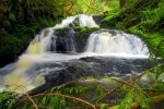 Ludlow Falls, Port Ludlow, Washington.