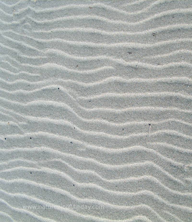 Sand ripples, WTF?