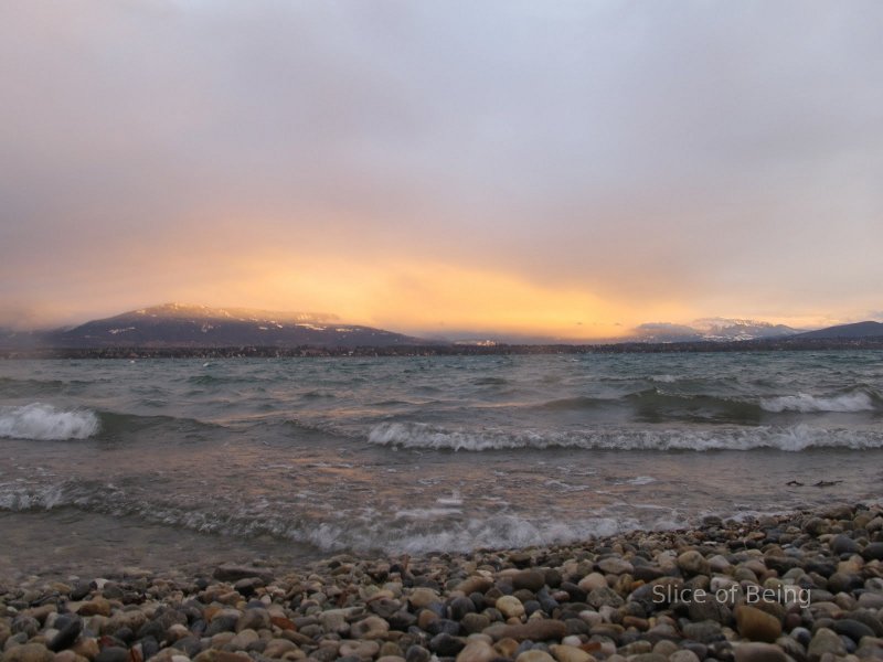 Lake geneva, Switzerland, near Tannay.