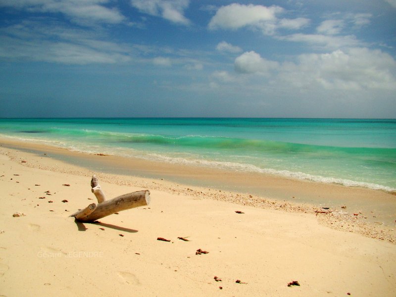 Lagoon in New Caledonia.  Sand beaches, white sand.