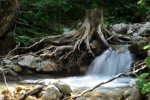 River Kamniska Bistrica, Slovenia.