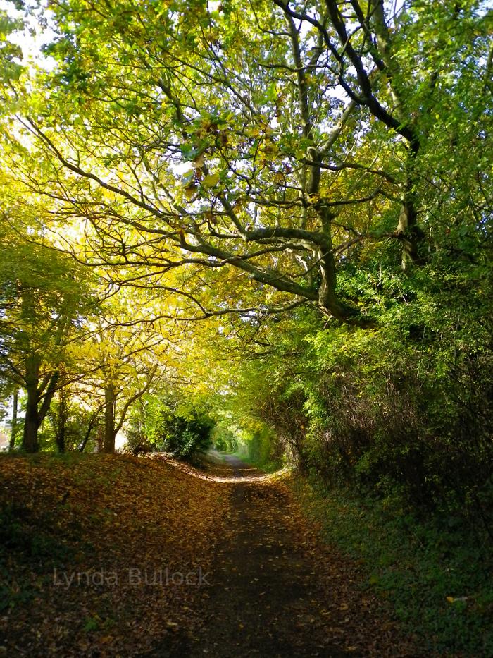 Ebury Way in Hertfordshire, England.