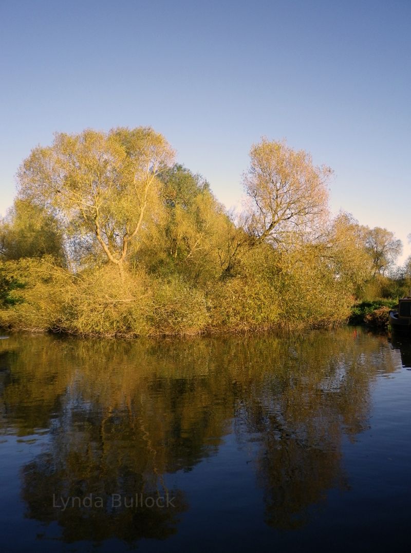 Fall colors in Hertfordshire, England.